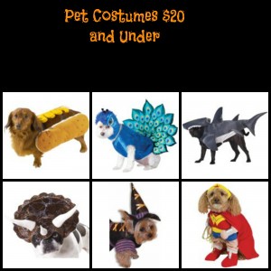 pet-costumes-words