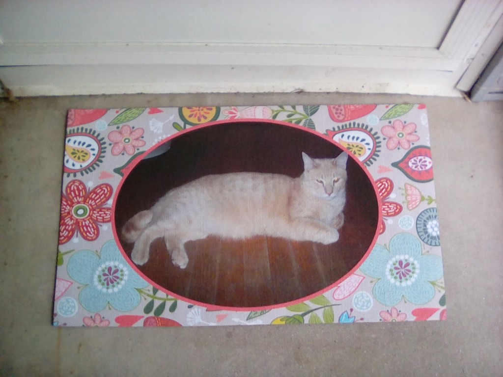 linusdoormat