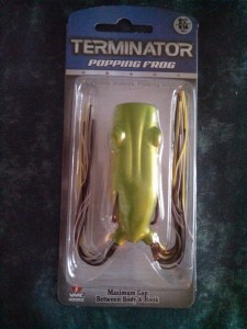 IMG_20170602_174119_165