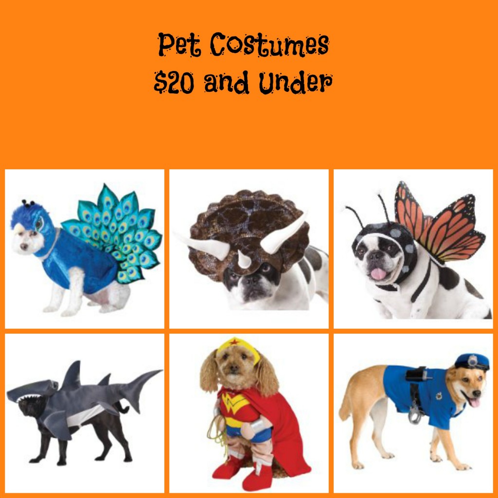 Pet Costumes Under 20 BB Product Reviews